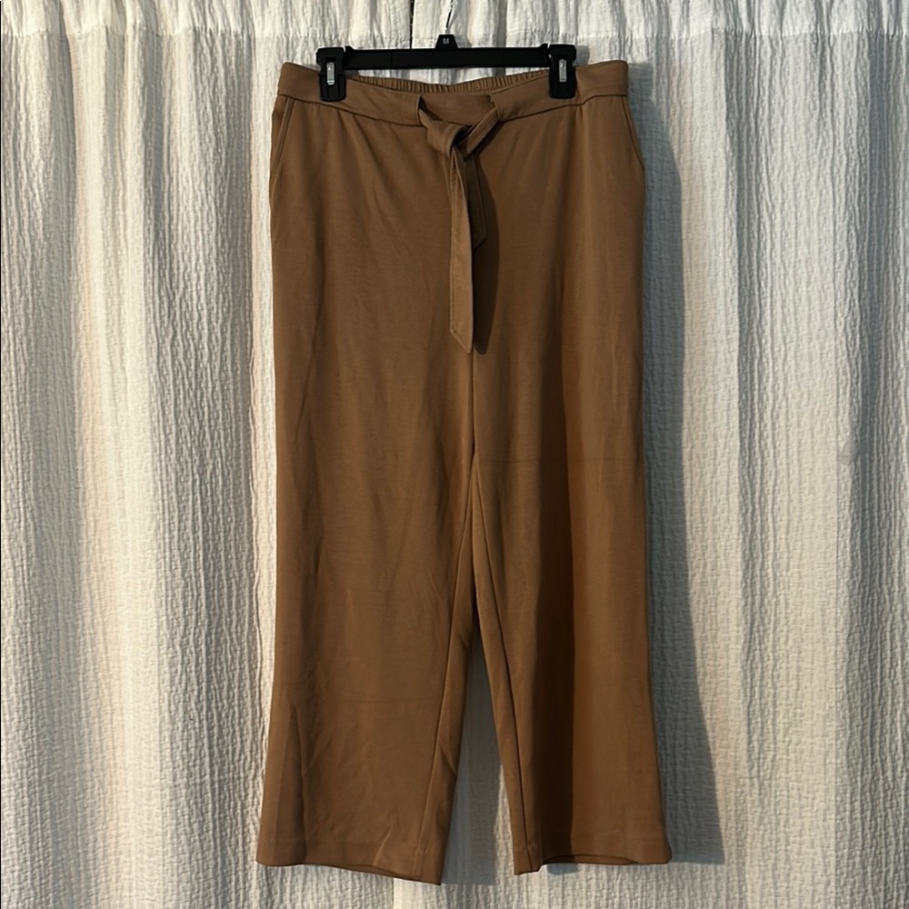 Wide Leg Tie-Waist Pants in Brown